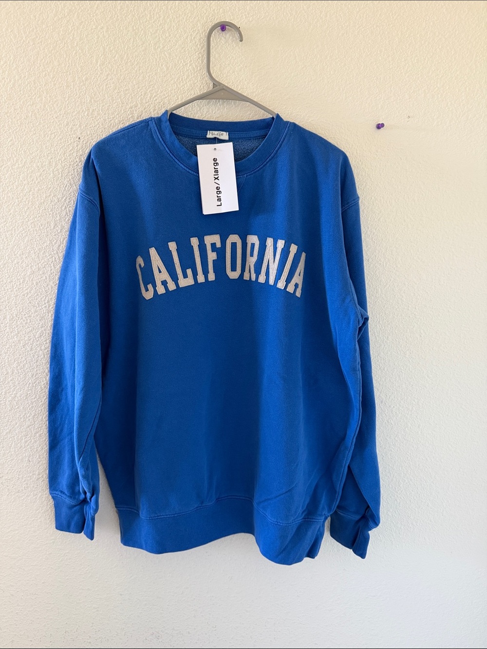 Brandy melville oversized Erica California sweatshirt
